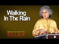 Capture de la vidéo Walking In The Rain | Pandit Shivkumar Sharma | (Spa Special-Music To  Help You Relax) | Music Today