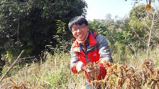 आफ त गउल परय हजर कद टपन लगय ह अब खतल चहएम मलई समपरक गरनहल. ह..ह.ह