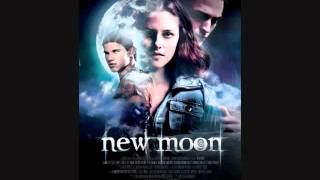 Need You- Alexandre Desplat The Twilight Saga: New Moon; The Score