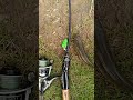umpan amis perdana #fishing #shortvideo #fypシ #shorts #mancingliar