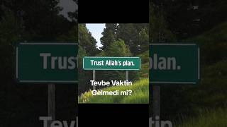 Tevbeye Gel Tevbeye Resimi