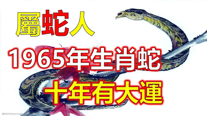 十二生肖，1965年蛇十年大運運程，下一個蛇年是2025年，屬蛇人在59歲期間會進入到2024年，運勢發展的很平穩，屬蛇人需要仔細瞭解清楚自己的運勢發展狀況，1965年蛇59歲後十年大運運程是怎樣的呢 - 天天要聞