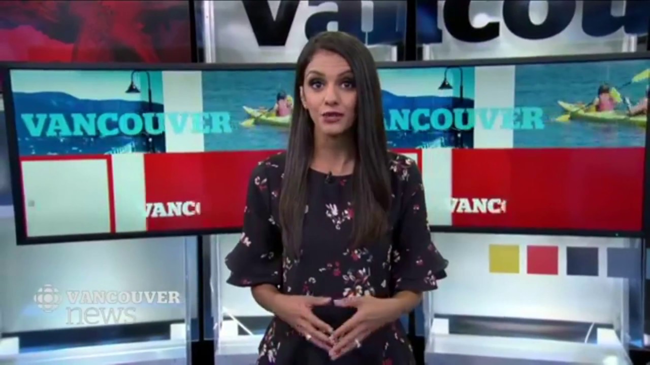 Sogi 123 LGBTQ Rally in Langley - Biased MSM Narrative Misses Mark ...