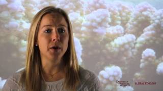 Reversal of ocean acidification enhances coral reef calcification