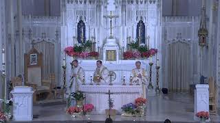 3rd Sunday of Easter 10:00 Mass (4-19-2026) The Cathedral of St Peter Kansas City, Kansas