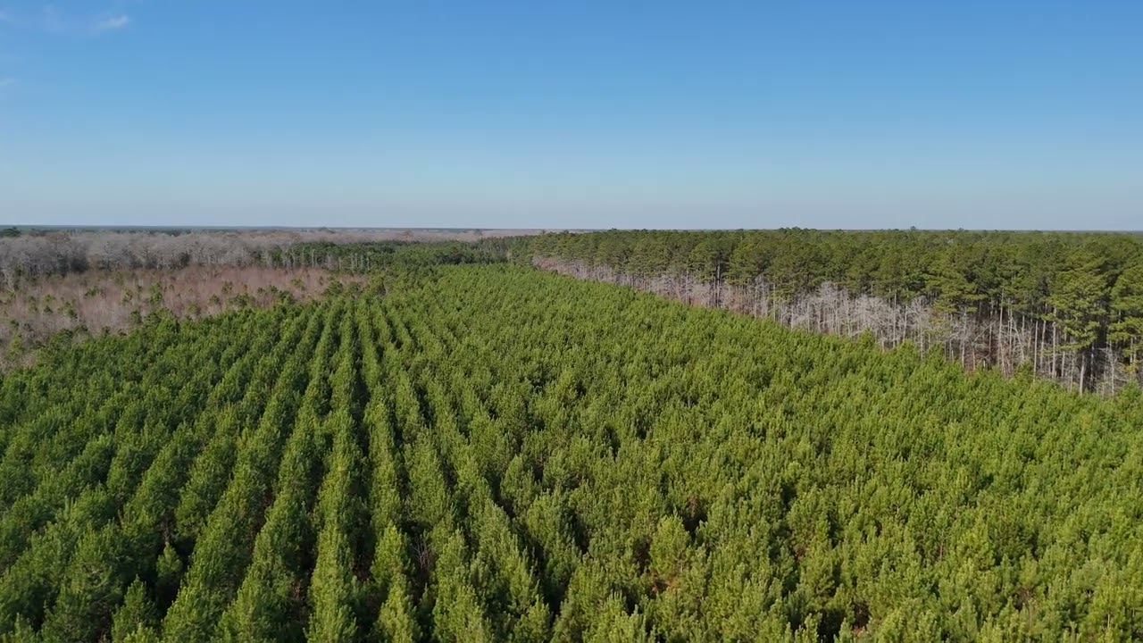 Hunter's Paradise in Eastern NC