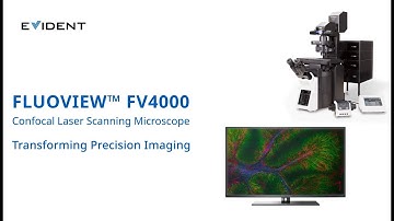 Transforming Precision Imaging with EVIDENT FLUOVIEW FV4000 Confocal Laser Scanning Microscope