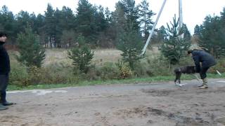DSCN0173
