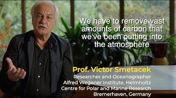 HOW WE GOT TO THIS POINT SHORT   HD 1080p