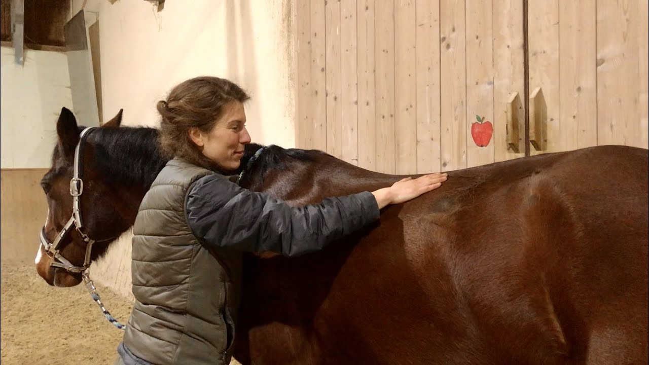 Massage der Sattellage - Fascia thoracolumbalis
