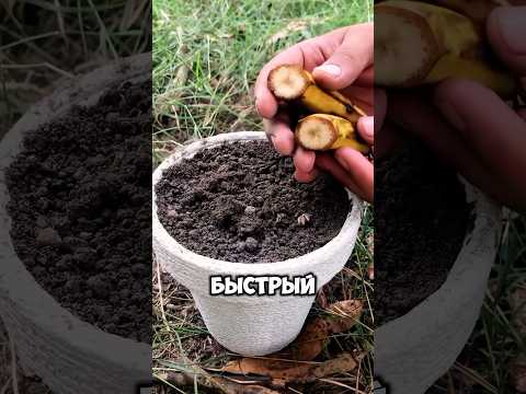 Каждому дачнику нужно сделать ток хотя бы раз👍 #дача #сад #огород