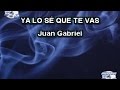 Karaoke canta como Juan Gabriel - YA LO SE QUE TU TE VAS