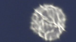 What is Venus??? Nikon P 1000