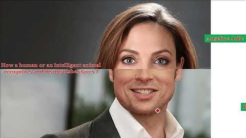 How was Artificial Neural Network conceptualized from Human Brain