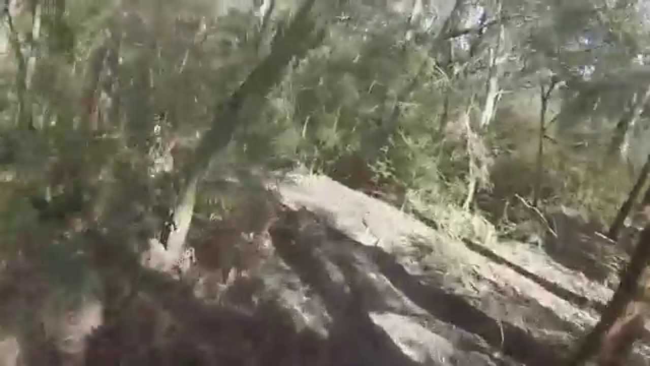 Testing the 330 KTM big bore engine through 80km of single track