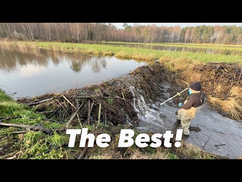 VERY BEST MY DAM REMOVAL VIDEO! TOP 1!