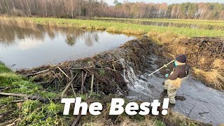 VERY BEST MY DAM REMOVAL VIDEO! TOP 1!