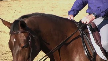 How to Hold Two Reins