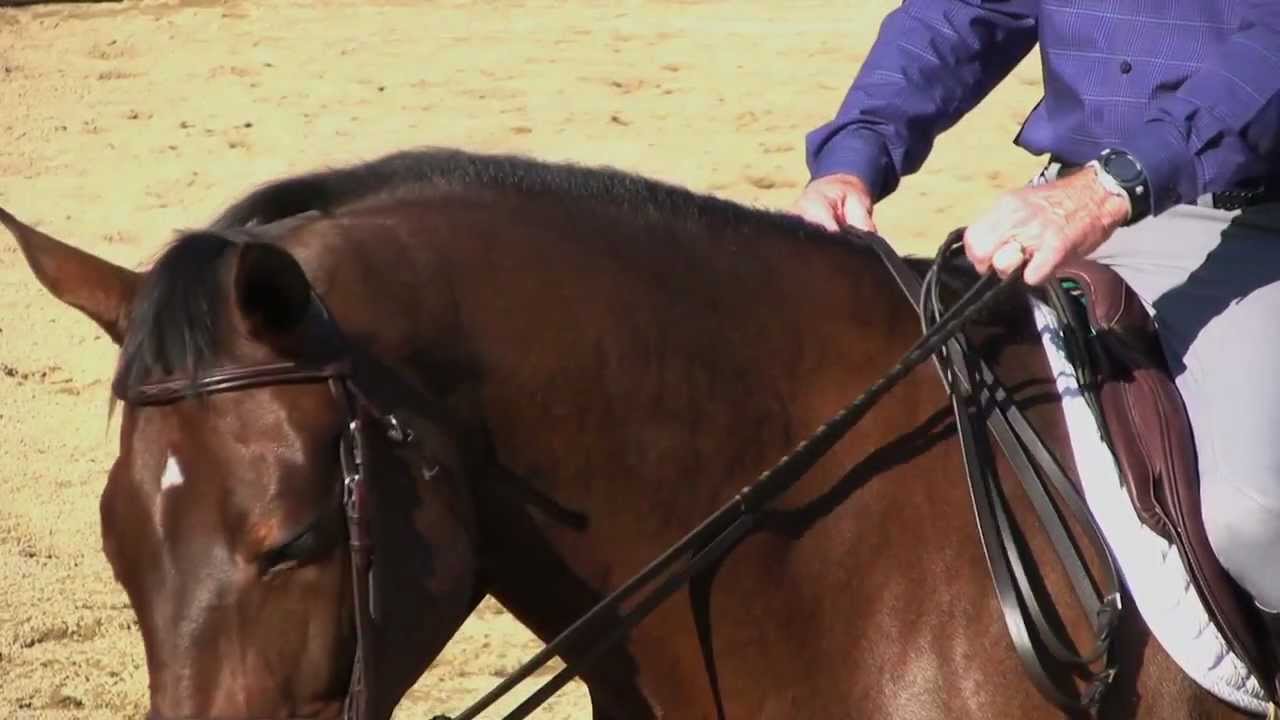 How To Hold Pelham Reins