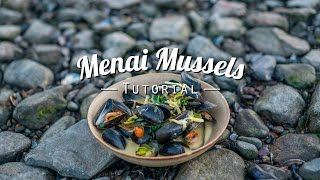 Menai Mussels Tutorial