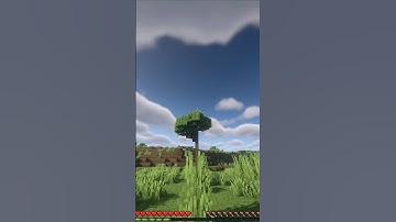 Minecraft But If You Subscribe I Get Random Items 🔥 #shorts