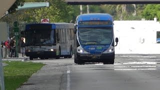 MDT Metrobus: 2015-2002 NABI 60-BRT 40-LFW Route 34B & 31 Buses #15509 #2178 at SW 112th Ave