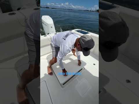 Starting off at the transom of the Limitless 32!
