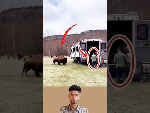 الضيف دائما ما ينسى لكن صاحب الأرض لا ينسى حدوده اكسبلور 