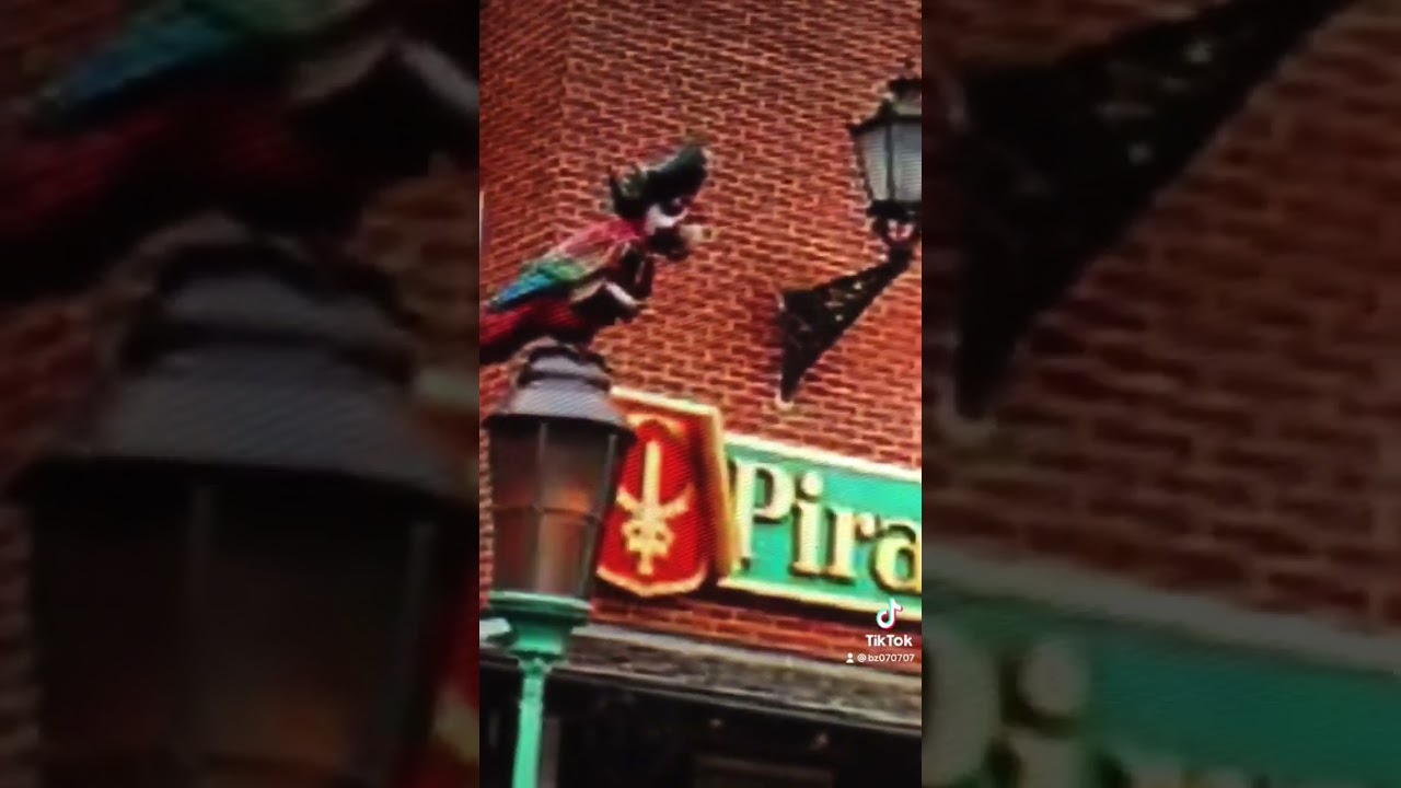 Piraten in batavia 2017 rip 🪦😔