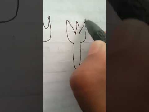Types of forks