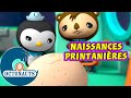 Octonauts - Naissances printanières : éclosions d'œufs spécial Pâques !