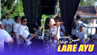Download Lagu LARE AYU - NATASYA DRUPADI || ONE PRO ( Live Pemuda Wadung Dolah ) MP3