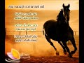 ماض كل سيف كل رمح كل موج غزارة ماض كل سيف كل رمح كل موج غزارة