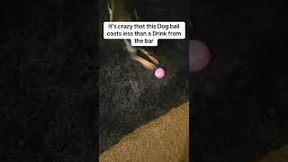 Furry Fun Alerts Shopmocks For Pet Toys