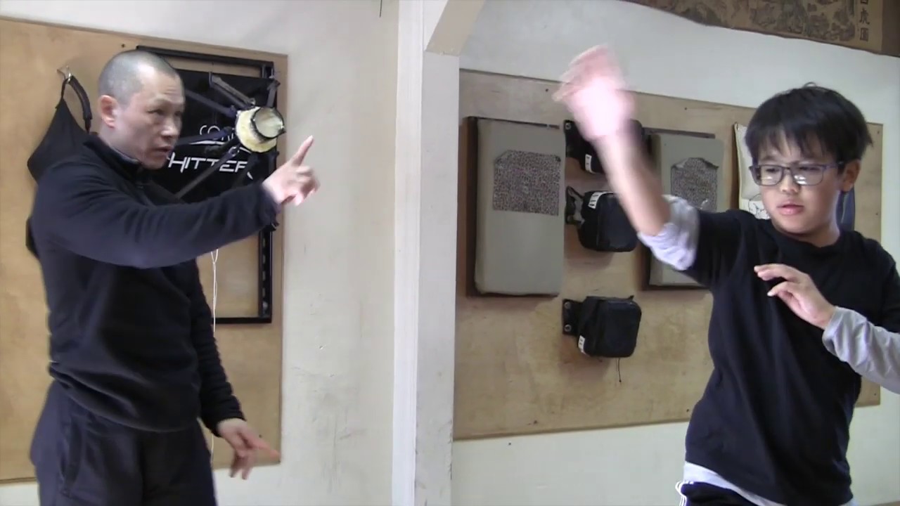 Choy Lee Fut Kung Fu