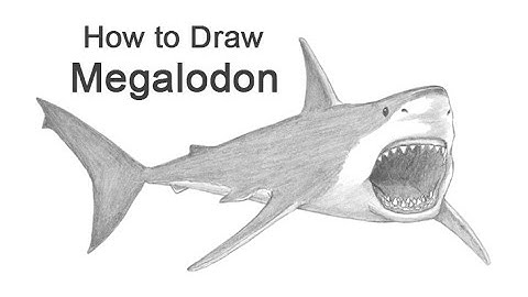 How to draw a Megalodon