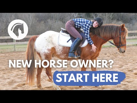 TIPS FOR NEW HORSE OWNERS: Essential Beginners Guide