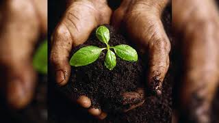 Jack Kornfield – Ep. 46 – The Stories We Tell