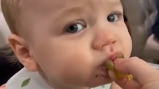 baby funny videos playing and mom daddy || baby cute videos