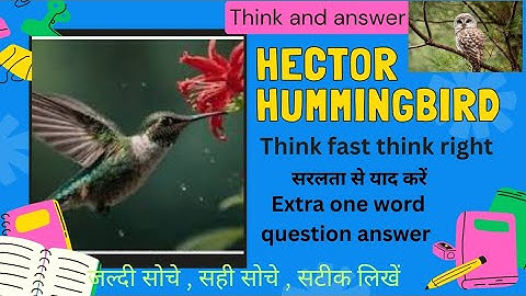 Hector Hummingbird / Think and answer /One word /#The English Channel -Class 4 