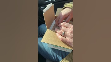 Unboxing a Pastel, Enchi, Desert Ghost Ball Python at FedEx. #morphmarket #ball-python #reptiles