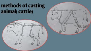 method of casting ( Reuffs method)