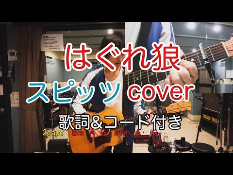 はぐれ狼　スピッツ（spitz）　弾き語り　カバー／浅井しんや