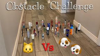 Obstacle Challenge| Cat VS Dogs