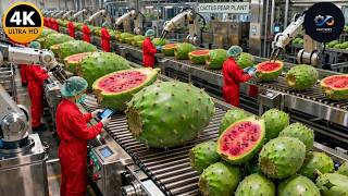 Inside a Mega Cactus Plant: From Raw Prickly Pears to Pink Juice (Full Process)