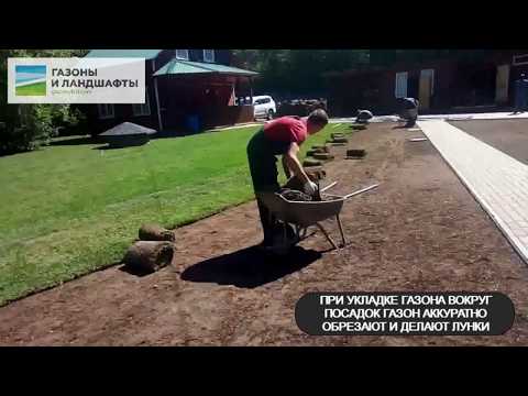 Укладка рулонного газона,