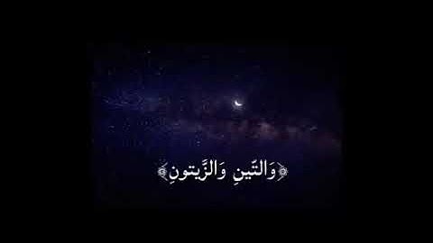 سورة التين القارئ رامي العدني وفقه الله