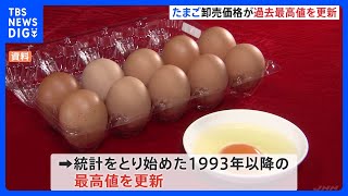 “物価の優等生”たまごの卸売価格が過去最高値を更新…鳥インフルエンザによる鶏の殺処分が影響…今シーズンはすでに1100万羽以上の採卵鶏が殺処分｜TBS NEWS DIG