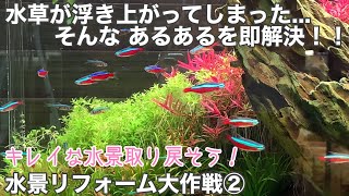水草水槽３大あるある問題を解決！水景リフォーム大作戦 その２ 初めて水草レイアウトを作る方へ The solution of three problems in aquarium