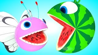 Pacman Butterfly meets a  watermelon friend ball rolling on flower farm as he see surprise box